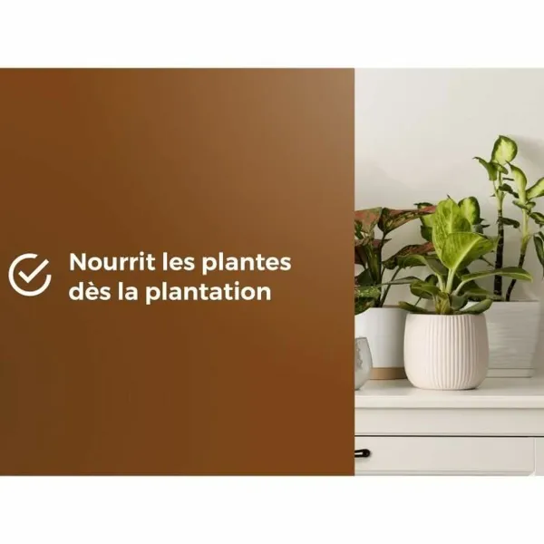 Potting compost OR BRUN 6 L