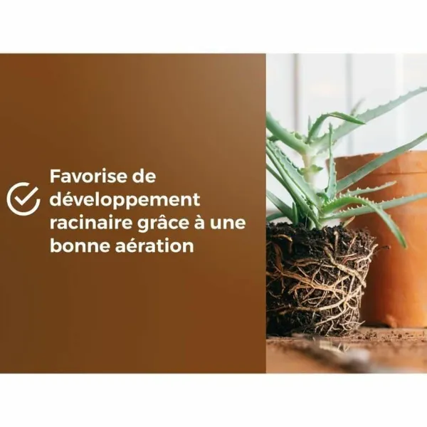 Potting compost OR BRUN 6 L