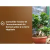 Potting compost OR BRUN BROWN GOLD 6 L