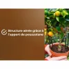 Vazoninis kompostas OR BRUN 6 L Citrusai