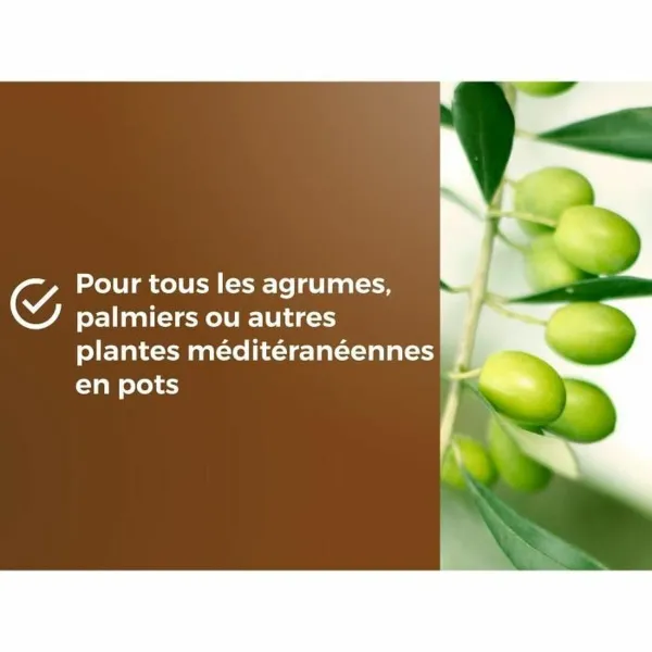 Potting compost OR BRUN 6 L Citrus