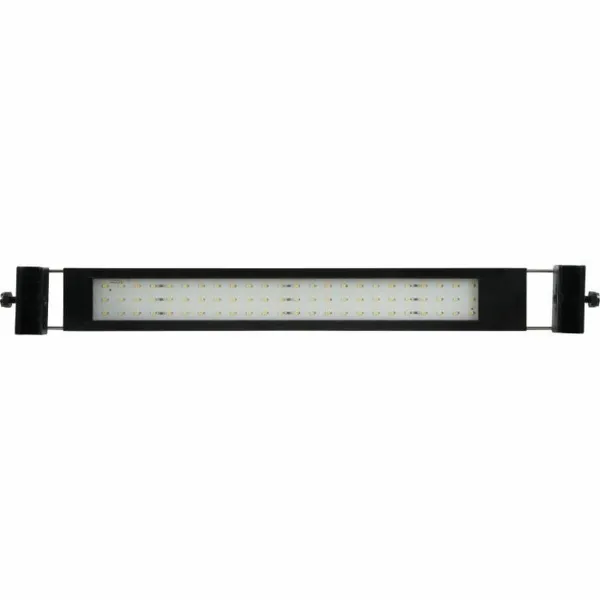 LED strips Zolux 300 cm Cool White