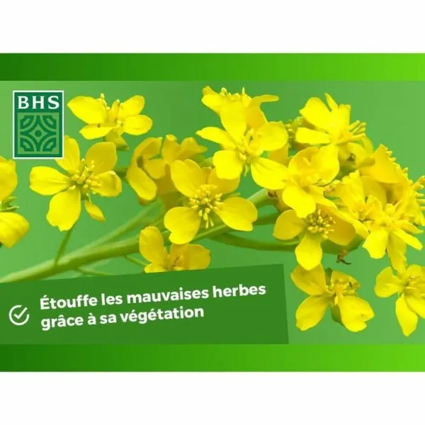 Plant fertiliser BHS 500 g