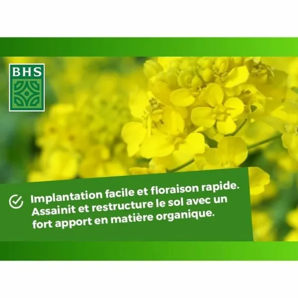Augalų trąšos BHS 500 g