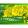 Kasvilannoite BHS 500 g