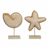 Decorative Figure Mica Decorations Light brown Shell Starfish 24 x 17 x 17 cm