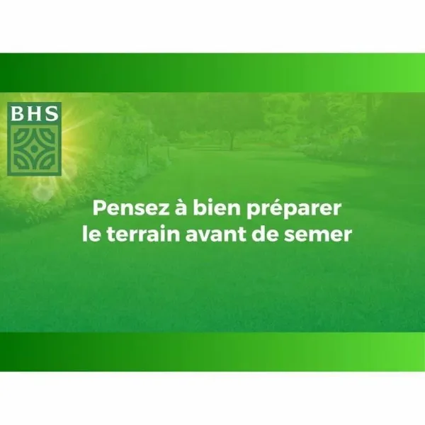 Sėklos BHS 10 kg