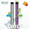 Aquarium Ciano