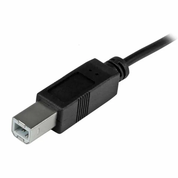 Кабель USB C — USB B Startech USB2CB2M             (2 m) Чёрный