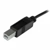 USB C - USB B Kaabel Startech USB2CB2M             (2 m) Must