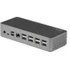 USB šakotuvas Startech DK31C4DPPDUE