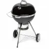 Nešiojamasis Barbekiu Fieldmann FZG 1017 Metalinis Plienas