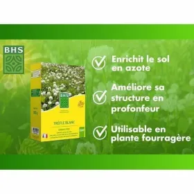 Augu pods BHS Trèfle Blanc 500 g
