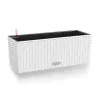 Plant pot Lechuza White Black polypropylene