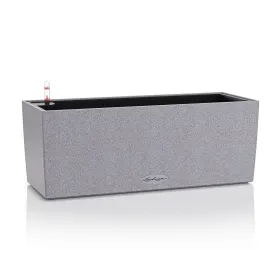 Pašlaistīšanas stādītājs Lechuza Pelēks 50 x 19 x 19 cm polipropilēns Taisnstūra
