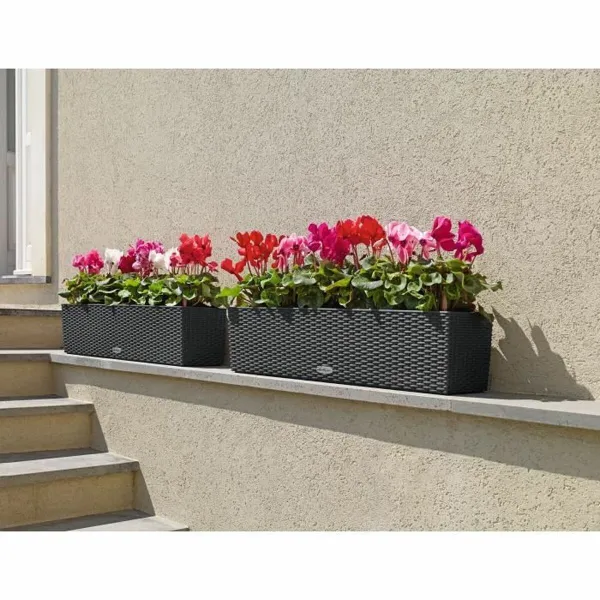 Plant pot Lechuza Black Grey polypropylene