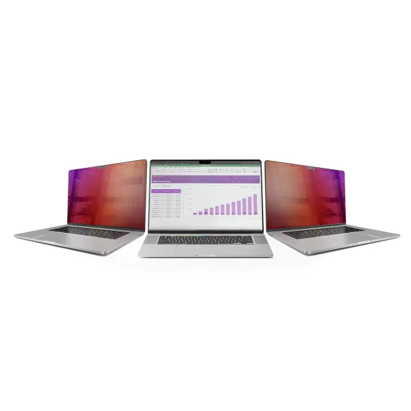 Seinakinnitusega Serverikapp Startech 162MG-PRIVACY-SCREEN