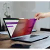 Seinakinnitusega Serverikapp Startech 162MG-PRIVACY-SCREEN