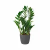 Set of pots Elho Grey Plastic Circular 2 Pieces