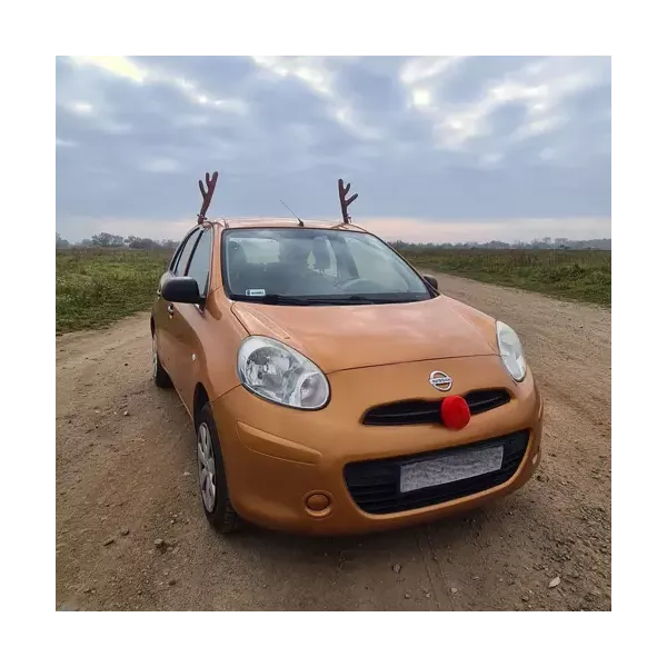 Elnio ragai automobiliui Xtrobb 20223