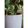 Kukkaruukku Elho Jazz Valkoinen Liila Muovinen Pyöreä 3 Kappaletta