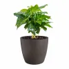 Set of pots Elho Plastic Circular 3 Pieces