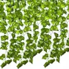 Mākslīgā efeja - vītne 6,3m Gardlov 19732.g