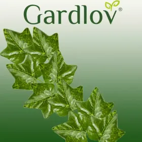 Kunstlik luuderohi - vanik 6,3 m Gardlov 19732. a
