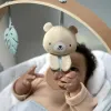Beebikiik Ingenuity