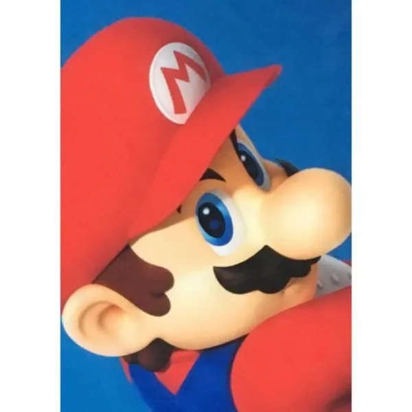 Blanket Mario Bros 25 x 14 x 26 cm Black animals