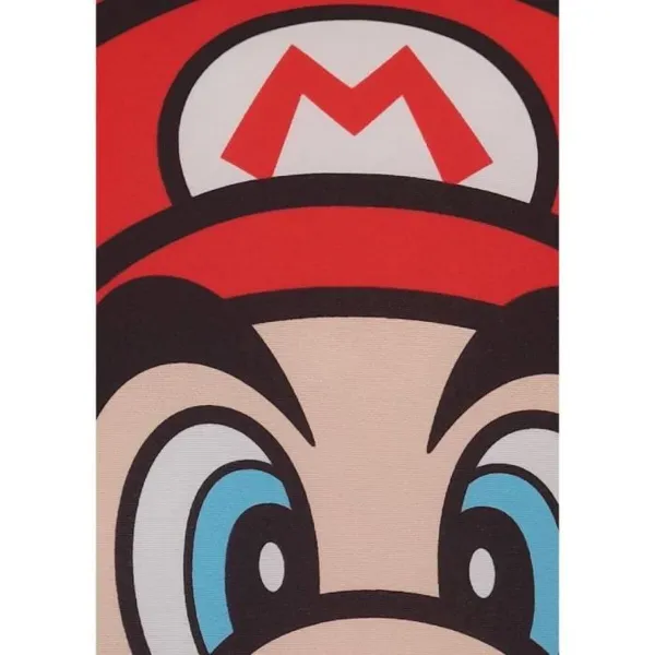 Pagalvėlė Mario Bros 39 x 3 x 41 cm Spalvotas Poliesteris Spausdinta Vaikiškas