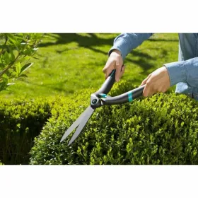 Divroku zāģi Gardena Boxwood