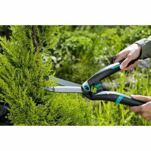 Divroku zāģi Gardena Boxwood