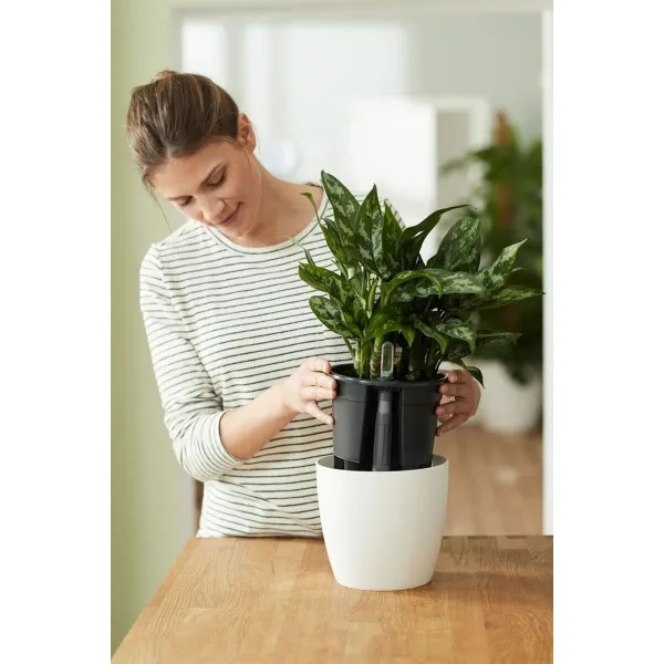 Pašlaistīšanas katls Elho Insert 28 Melns Plastmasa 27,7 x 27,7 x 25,5 cm