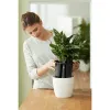 Pašlaistīšanas katls Elho Insert 28 Melns Plastmasa 27,7 x 27,7 x 25,5 cm