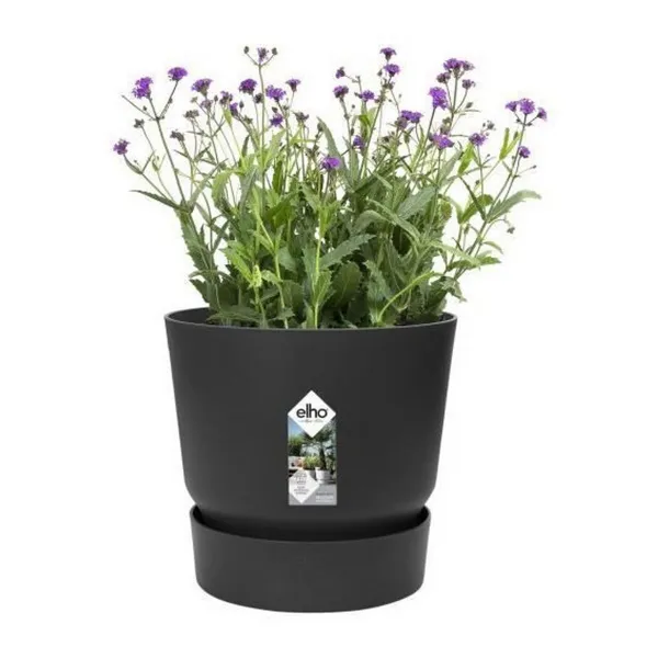 Pušķi Elho Greenville Melns Plastmasa Apaļš Apaļa Ø 40 cm Ø 39 x 36,8 cm
