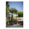 Stiklainis Elho Greenville Juoda Plastmasinis Apskritas Ø 40 cm Ø 39 x 36,8 cm