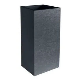 Pušķi EDA Graphit Pelēks Tumši pelēks Plastmasa Kvadrāta 39,5 x 39,5 x 80 cm
