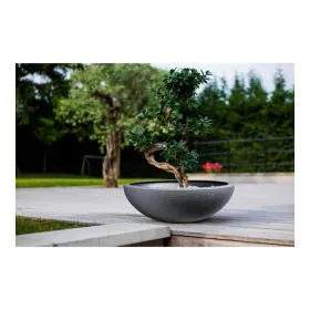 Pušķi EDA Graphit Washbasin Pelēks Tumši pelēks (Ø 59 x 21 cm)