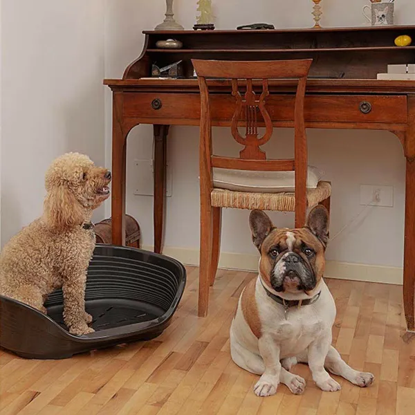 Dog Bed Ferplast Siesta Deluxe 6 Black 70,5 x 52 x 23,5 cm