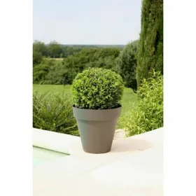 Sülearvuti Ümbris Targus TBS953GL 14" Must