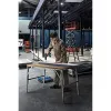 Elektrinis atsuktuvas BOSCH 55 Nm