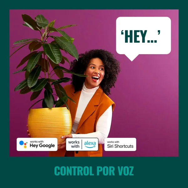 Светодиодные гирлянды Wiz   Разноцветный 8 W