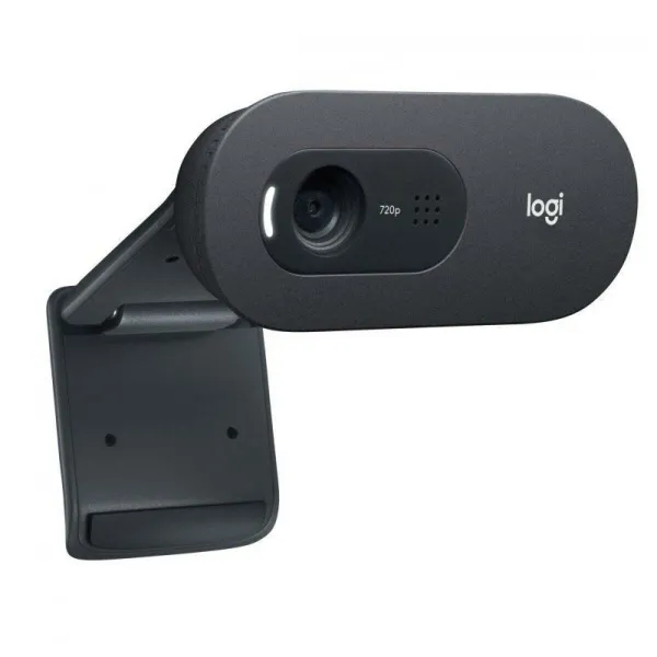 Nettikamera Logitech C505e Musta