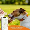 Lokalizatorius nuo praradimo Weenect Weenect XS GPS Balta