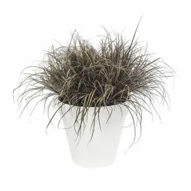 Pušķi Elho Loft Urban Apaļa Balts Ø 40 cm
