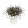 Taimepott Elho Loft Urban Ümmargune Valge Ø 40 cm