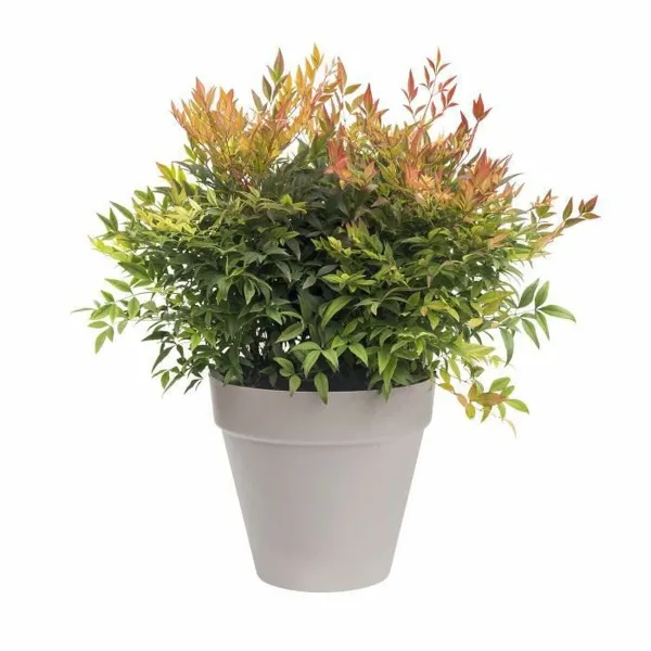 Stiklainis Elho Loft Urban Apskritas Pilka Ø 40 cm