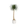 Plant pot Elho White Green Plastic 30 x 30 x 28 cm