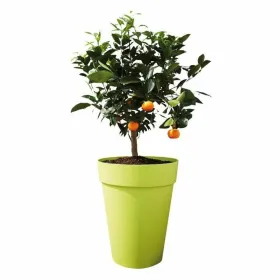 Pušķi Elho Pelēks Apaļa Ø 35 cm